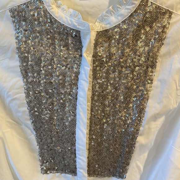 Boden size US6 sequin dress shirt super pretty! - Picture 4 of 4